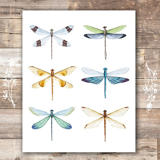 Dragonfly Wall Art Print - 8x10