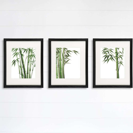 Bamboo Art Prints (Set of 3) - 8x10s